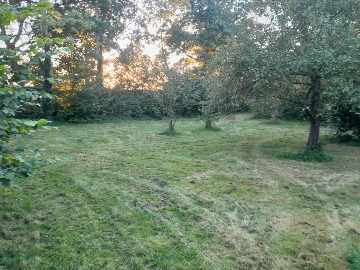 Bed and Breakfast Achter De Vesting Bourtange Exterior foto